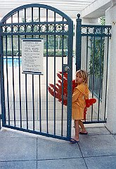 pool gate w lobster