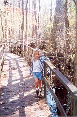 swamp on bridge