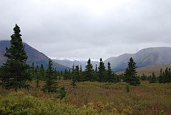 Alaska0831